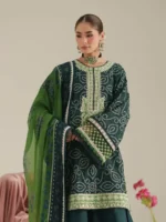 JoJo by Bin Ilyas Unstitched Embroidered Lawn 3 Piece Suit Summer Collection’26 - D-87B - Image 2